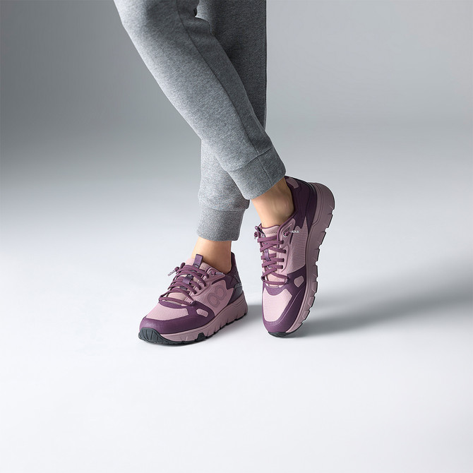 tenhaag stormhaag - Purple - Special picture